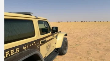 ضبط مواطن خالف أنظمة الرعي وأدخل ماشيته محمية الملك عبدالعزيز الملكية